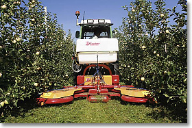 Fischer Mulcher